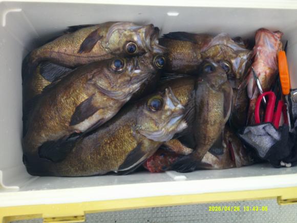 釣果写真