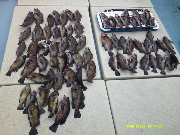 釣果写真