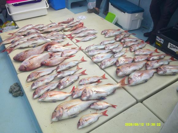釣果写真
