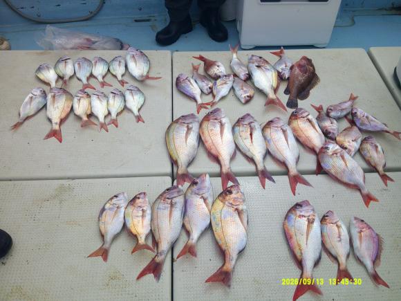 釣果写真