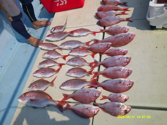 釣果写真