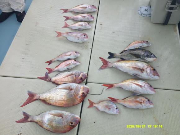 釣果写真