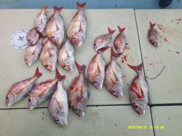 釣果写真